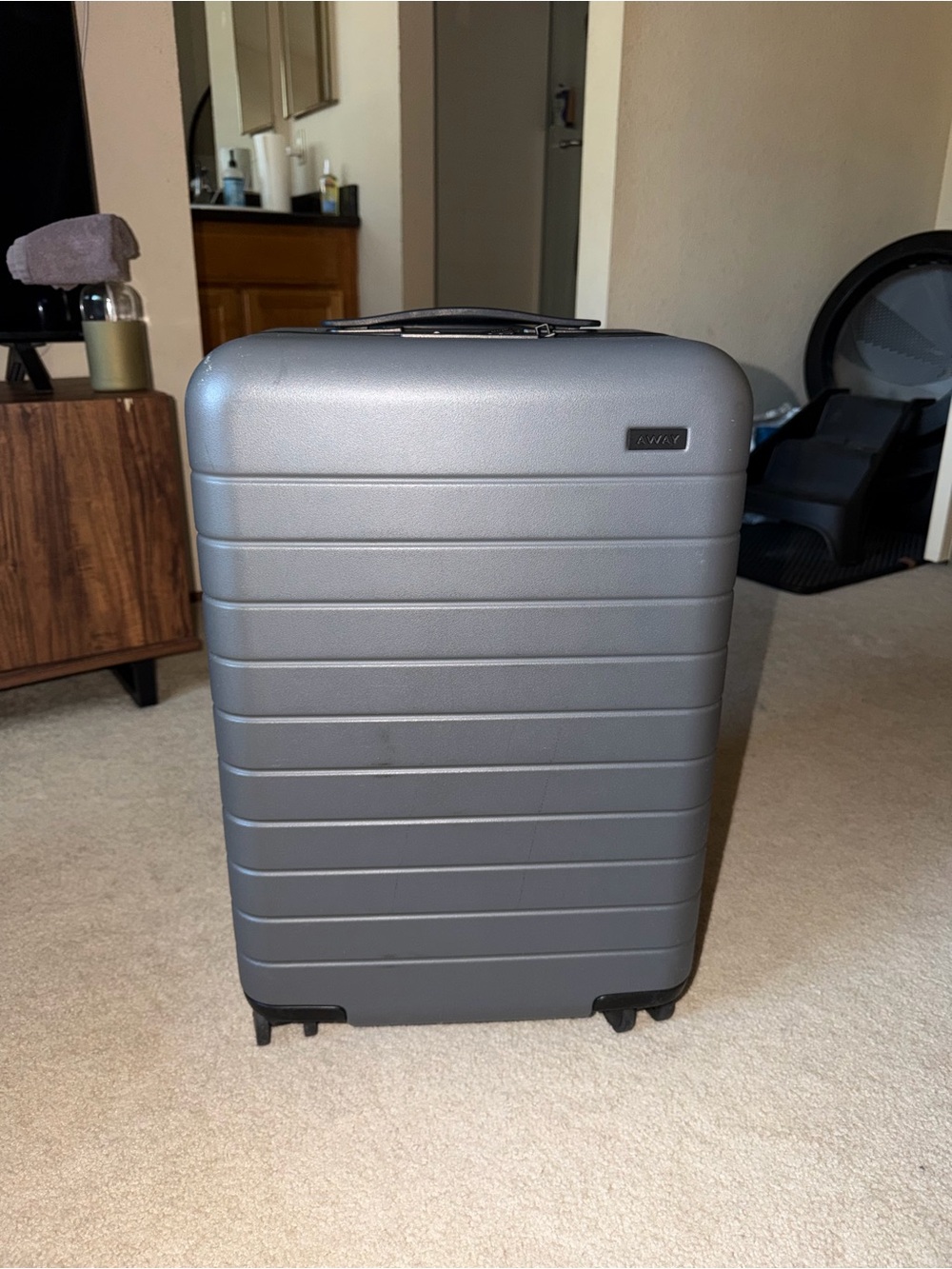 Away Carry-On Spinner Luggage in Gray
